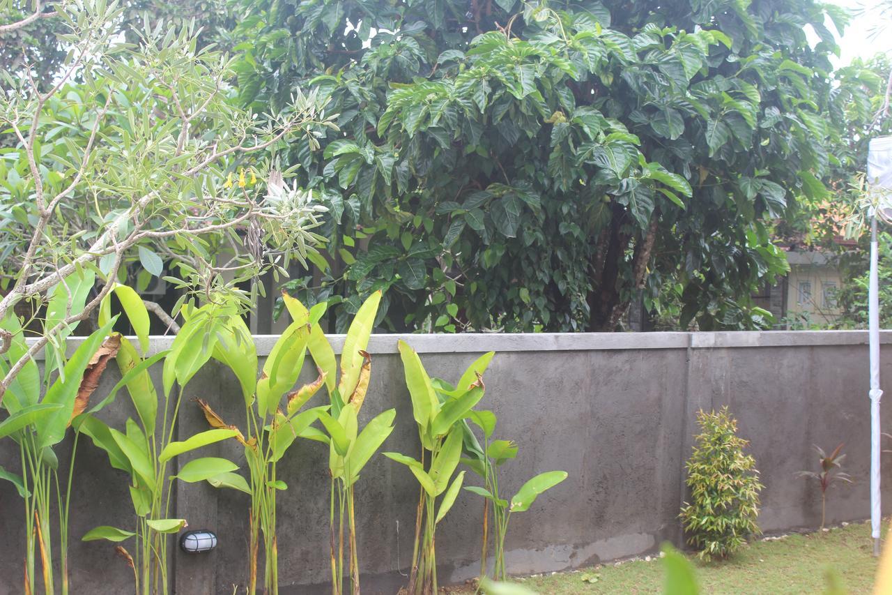 Adi Bali Homestay 울루와뚜 외부 사진